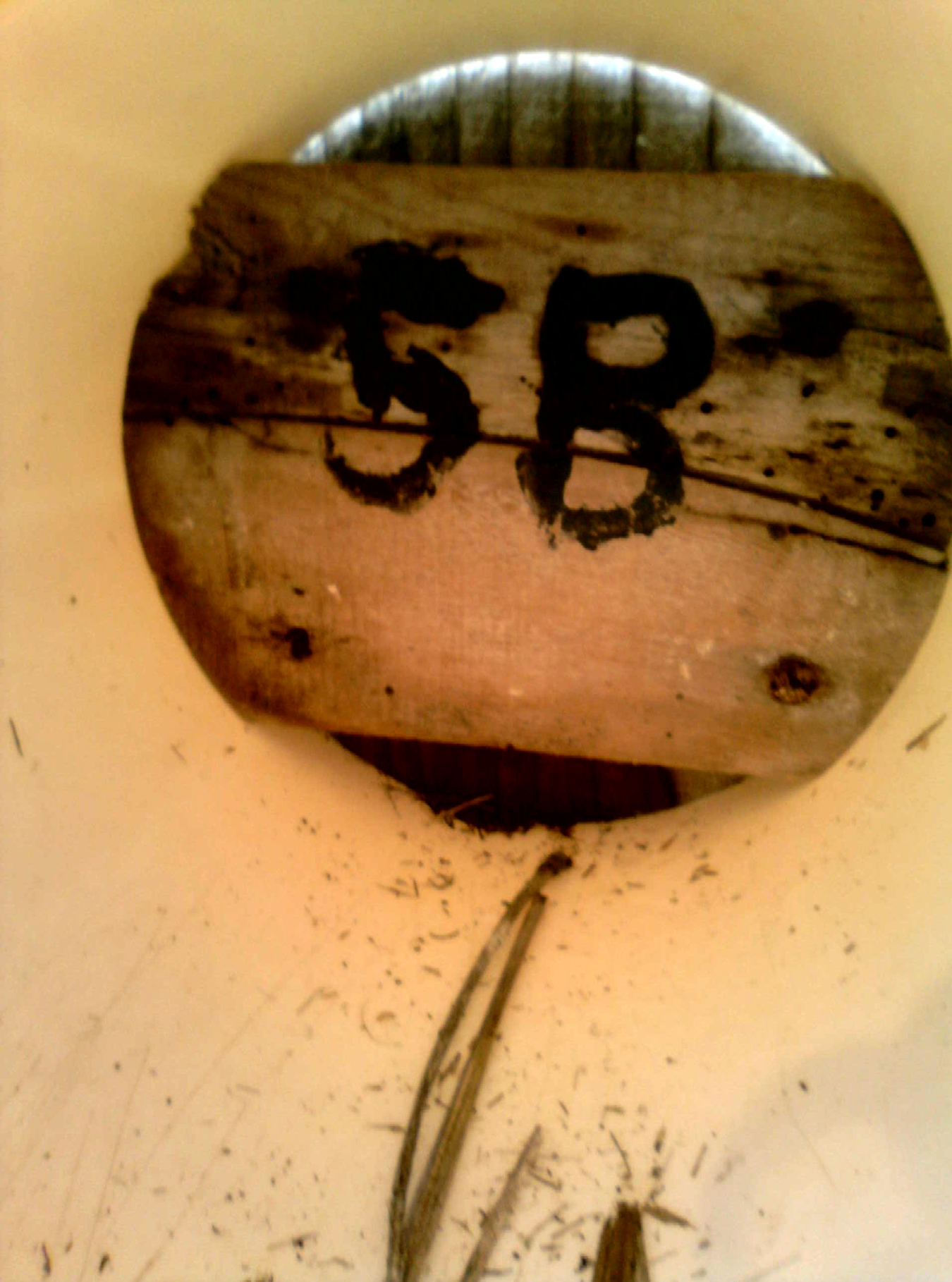 OPAS 5B